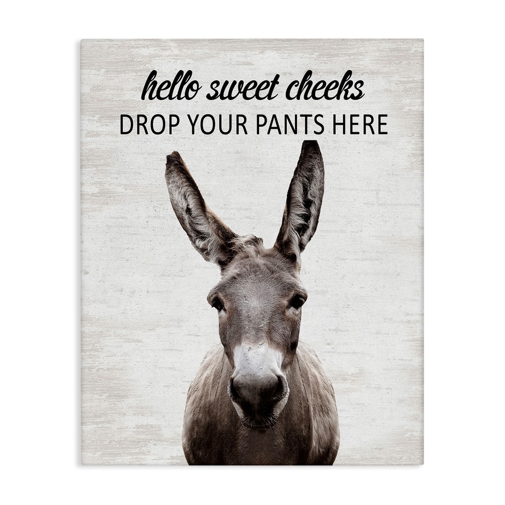 Stupell Drop Pants Here Funny Laundry Canvas Wall Art Design By Lettered and Lined