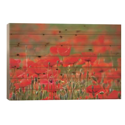 Summer Poppies, Tuscany Region, Italy Print On Wood by Terry Eggers - Multi-Color
