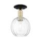 Option Clear Shade / Black Antique Brass