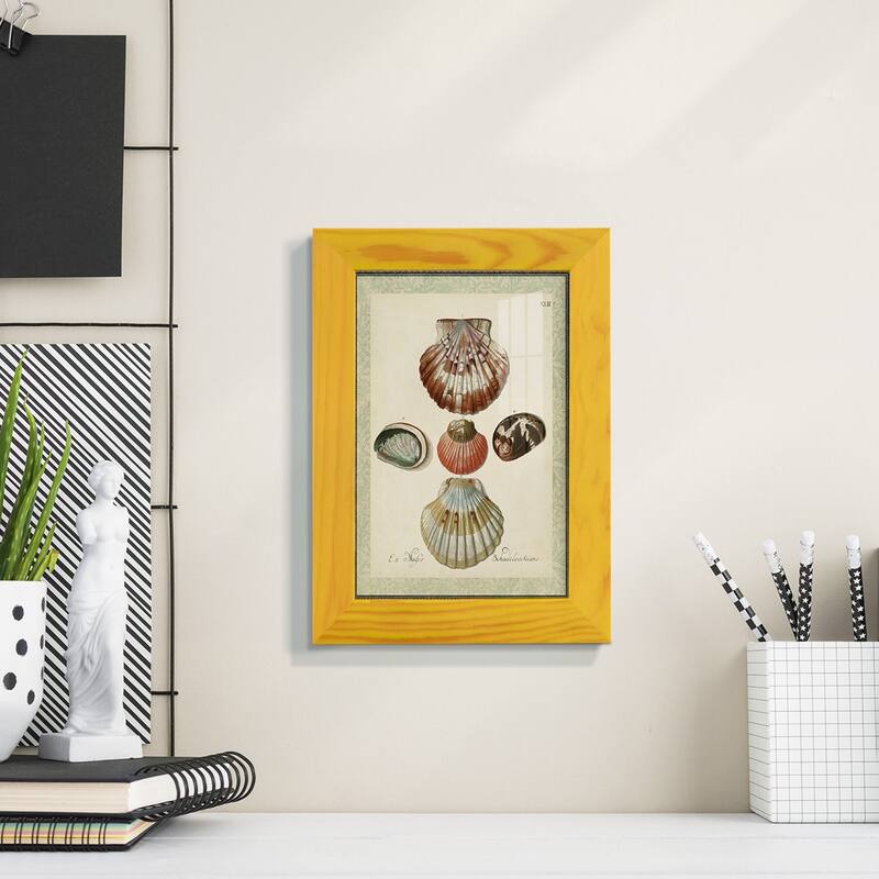 Bookplate Shells III -Framed Print w/glass-Cherry Red