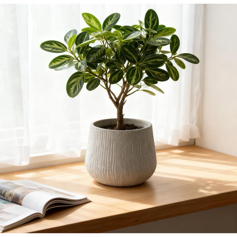 11"Dia x 9.06"H Large Round Planters, Outdoor Planters with Drainage Holes, Plant Pot with Cement Texture Plant Pots