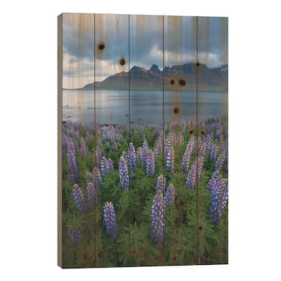 Nootka Lupines II, Stodvarfjordur Fjord, Austurland, Iceland Print On Wood by Gareth McCormack - Multi-Color