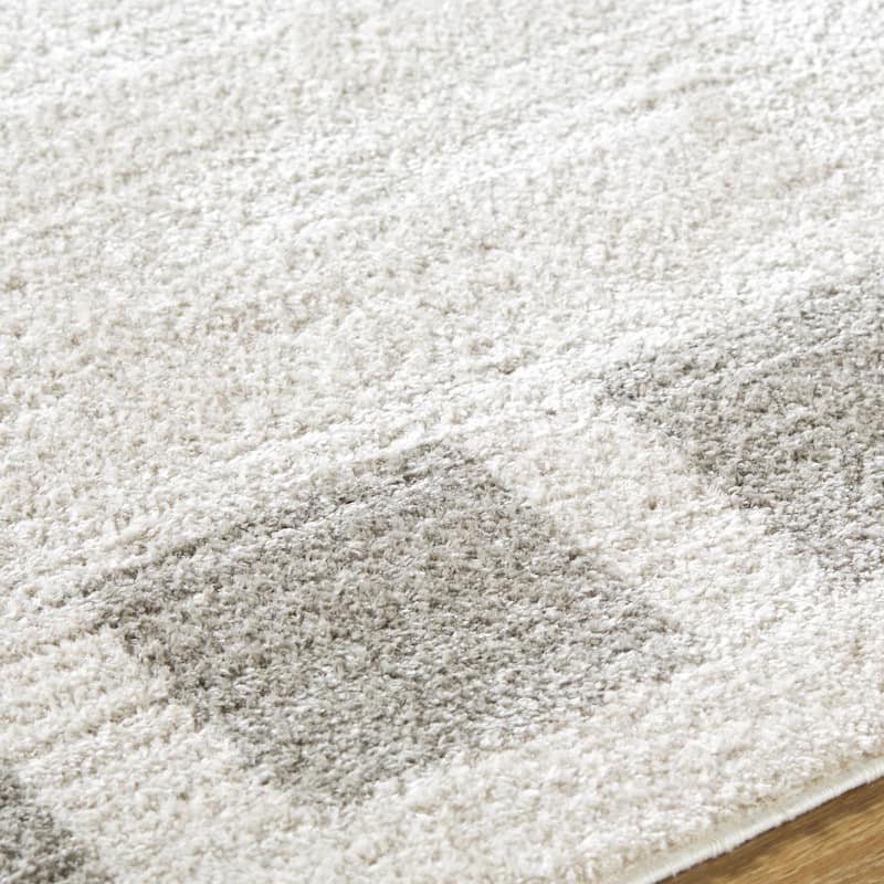 Livabliss Fossay Shag Modern & Contemporary Checkered Washable Area Rug