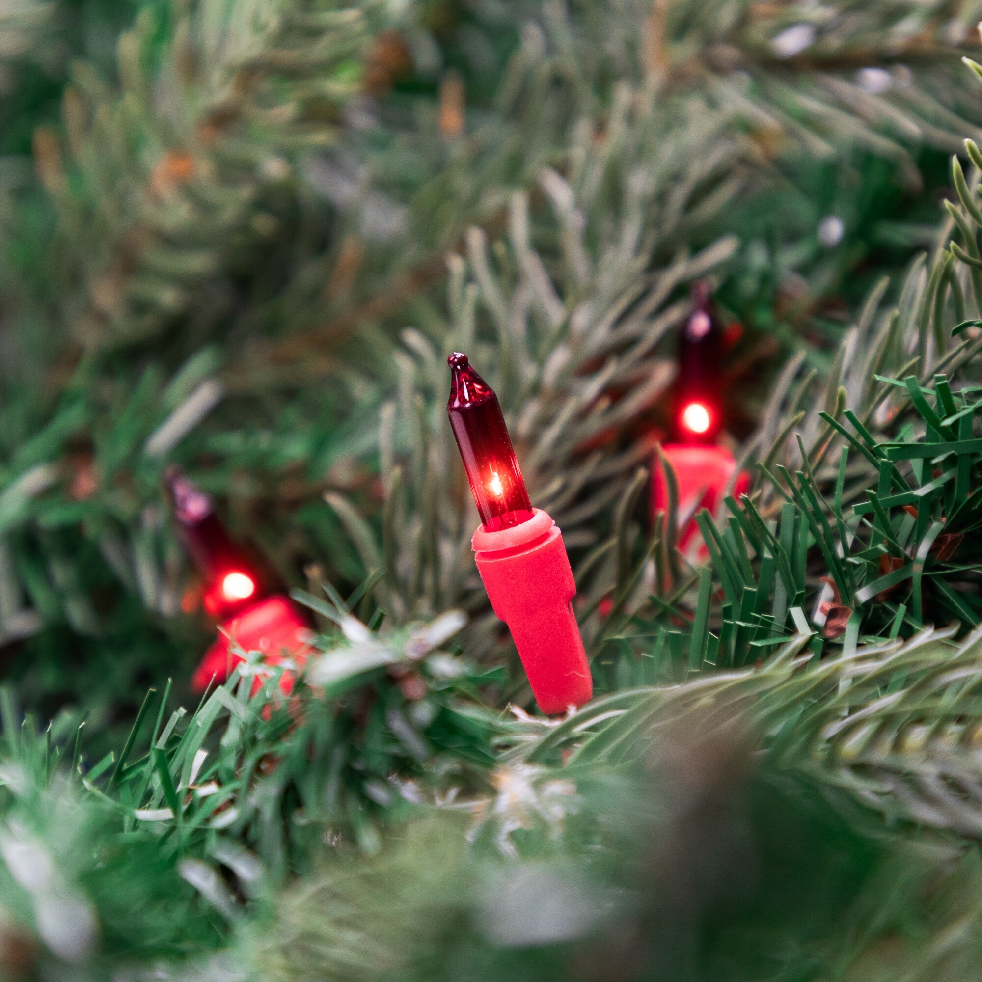 Red wire christmas lights top
