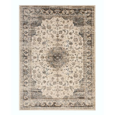 Ivory Distressed Bohemian Isabella Medallion Rug by , Stylish and Trendy Area Rug for Adding a Bohemian Chic Touch