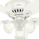 preview thumbnail 6 of 20, Hunter 52" Builder Low Profile Ceiling Fan with 3-Light Light Kit and Pull Chain - Casual, Traditional, Transitional