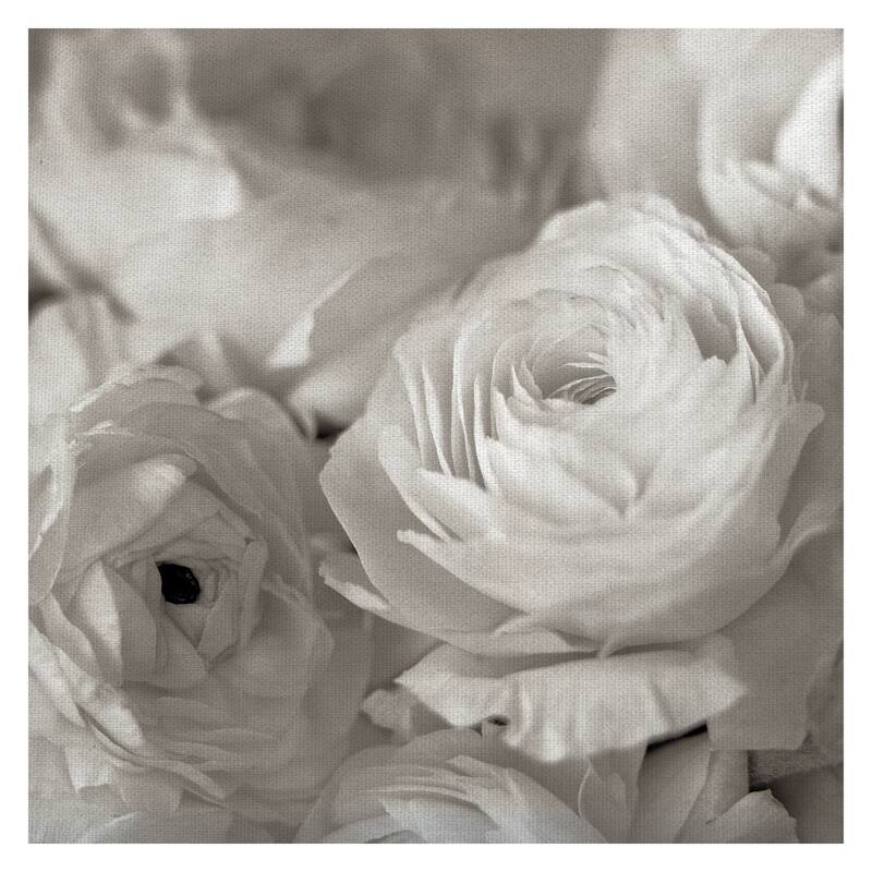 Florison #47 by Alan Blaustein Canvas Art Print