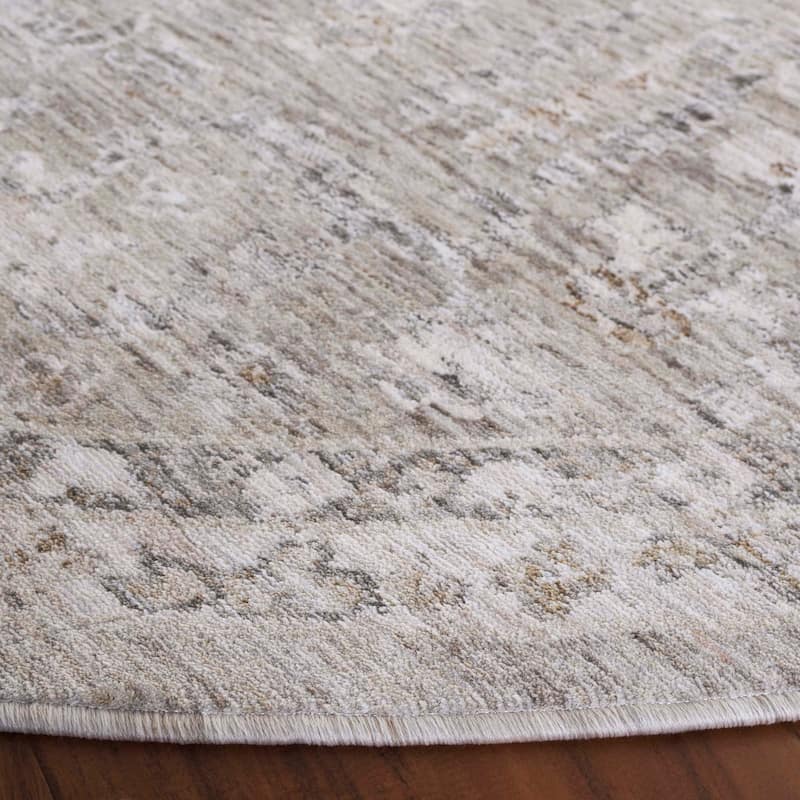 SAFAVIEH Mason Belizanda Vintage Rug.