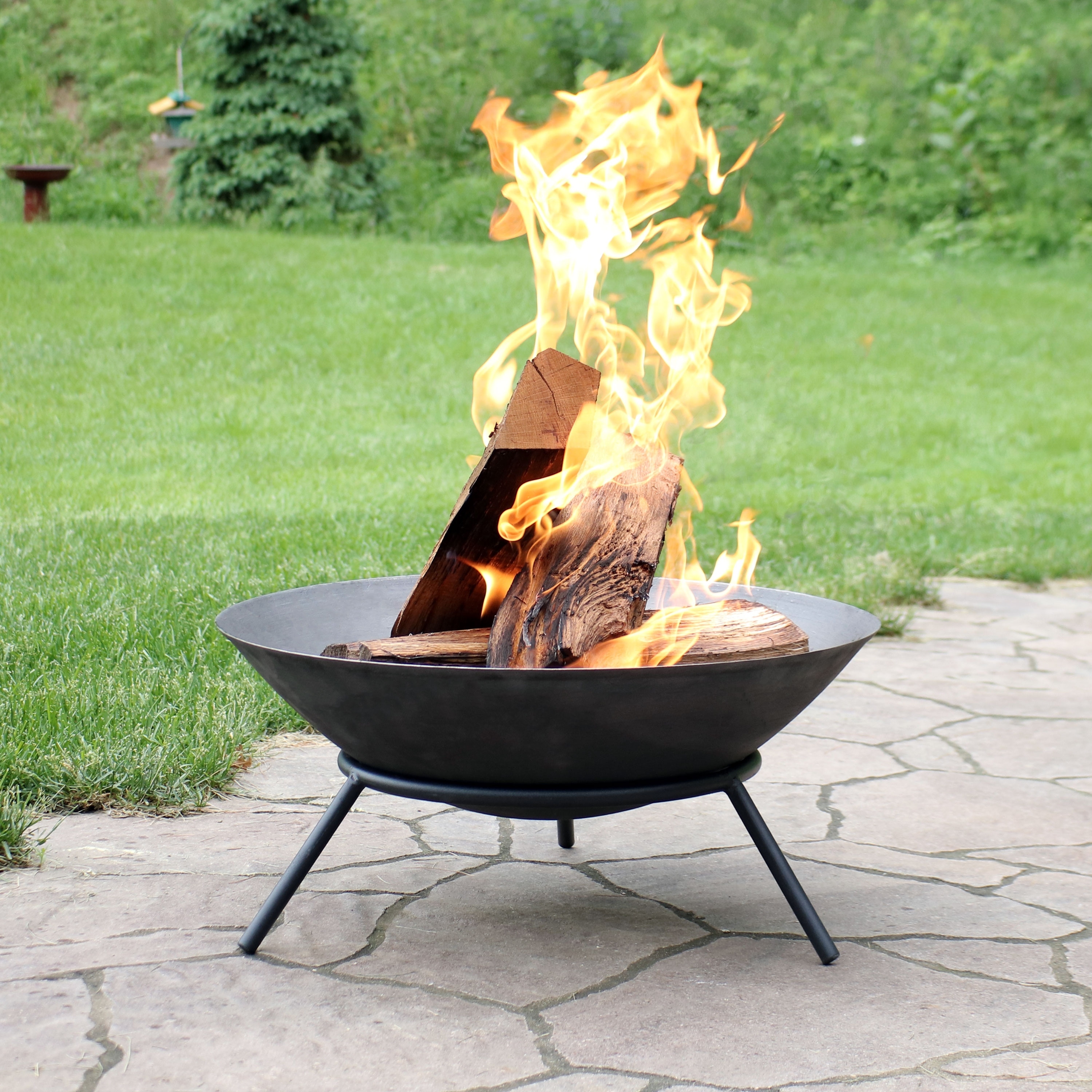 Shop Sunnydaze Raised Portable Cast Iron Fire Pit Bowl With Steel