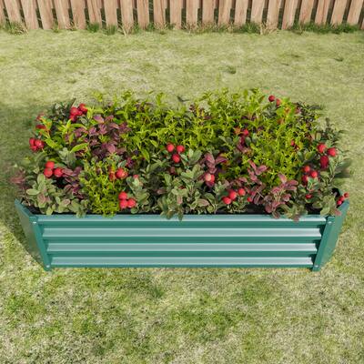 Metal Raised Garden Bed, 4x2x1ft Rectangle Raised Planter