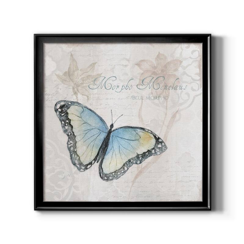 Postcard Butterfly III-Premium Framed Canvas - Ready to Hang - 26.5x26.5 - Black