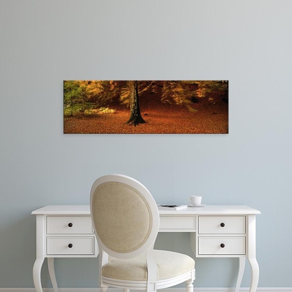 Easy Art Prints Panoramic Images's 'Autumn Leaves Perthshire Scotland' Premium Canvas Art
