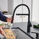 preview thumbnail 31 of 33, Blanco Rivana Semi-Pro Pull-Down Dual-Spray Kitchen Faucet 1.5 GPM - 8.88-in x 4.56-in x 19.88-in