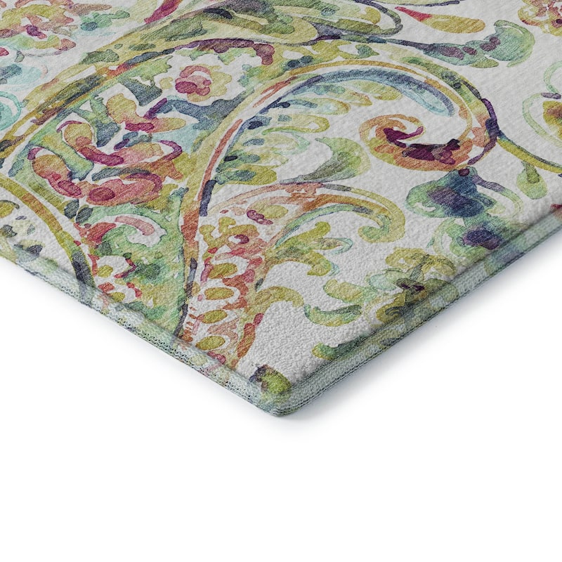Premium Washable Super Soft Paisley Mayfield Rug