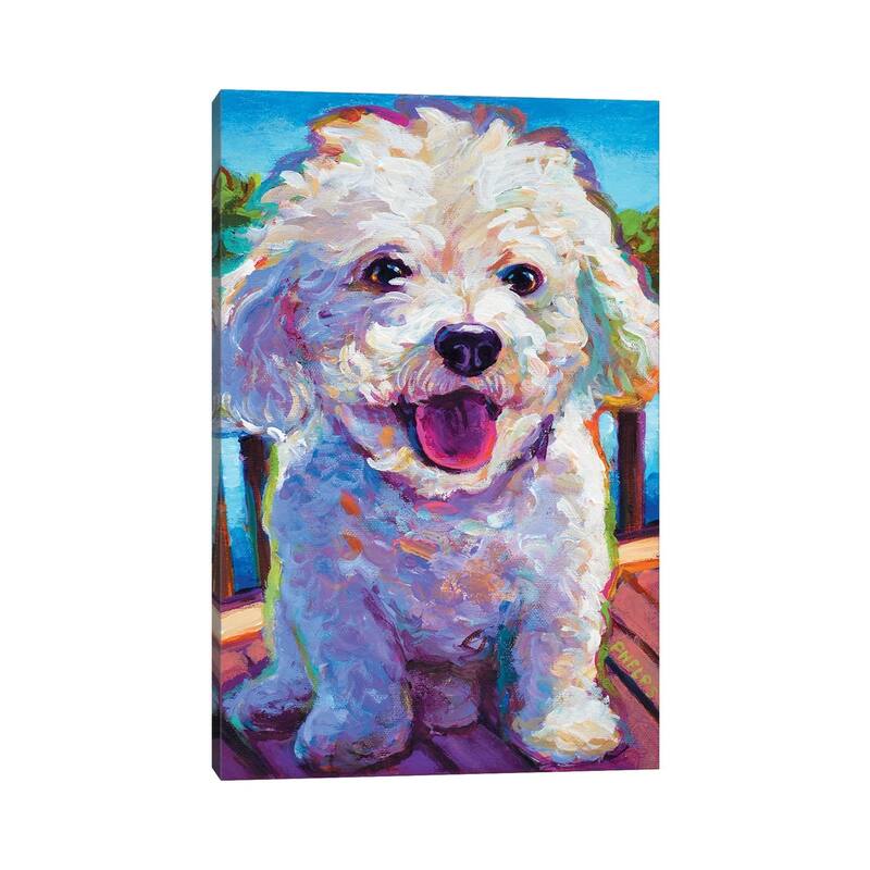 iCanvas "Bichon Frise" by Robert Phelps Canvas Print