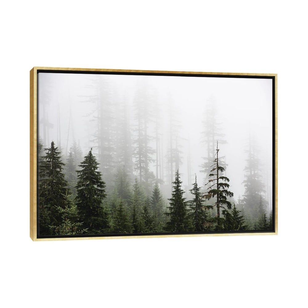 iCanvas "Misty Woods Forest Mountain Trees" by Nature Magick Framed Canvas Print