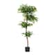 Option 1-Piece Faux Ficus Tree
