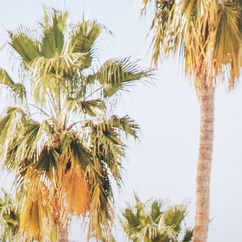 Palm Heights-Home Framed Art Print