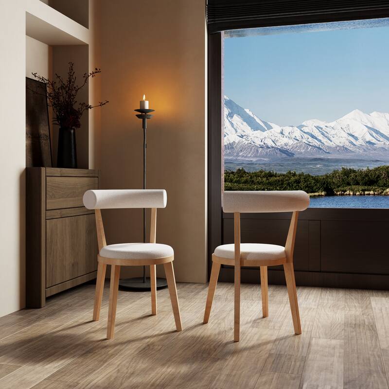 Upholstered Side Chair Dining Chairs (Set of 2)