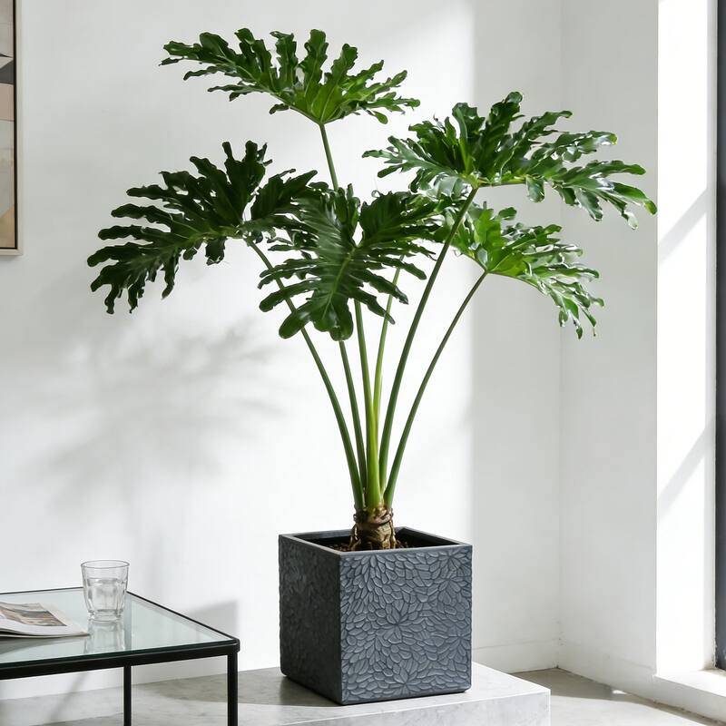 Large Planter, 16.9"+14.37"+11.6" +9.25"Dia Square Magnesium Oxide Planter Set of 4, Flower Pots with Drainage Holes