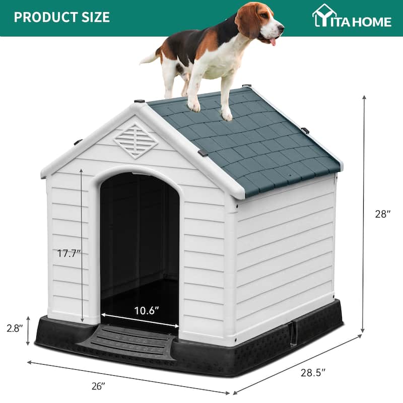 Moasis Plastic Dog House