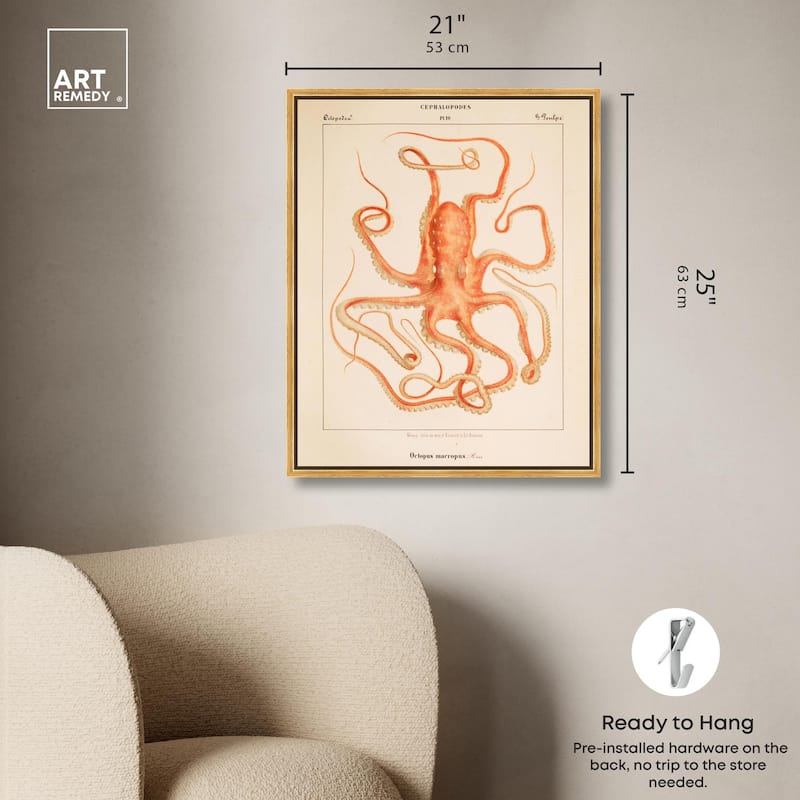 Verany The Octopus 1815 I Canvas by Art Remedy