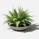 preview thumbnail 105 of 110, Mason Series Lane Bowl Planter