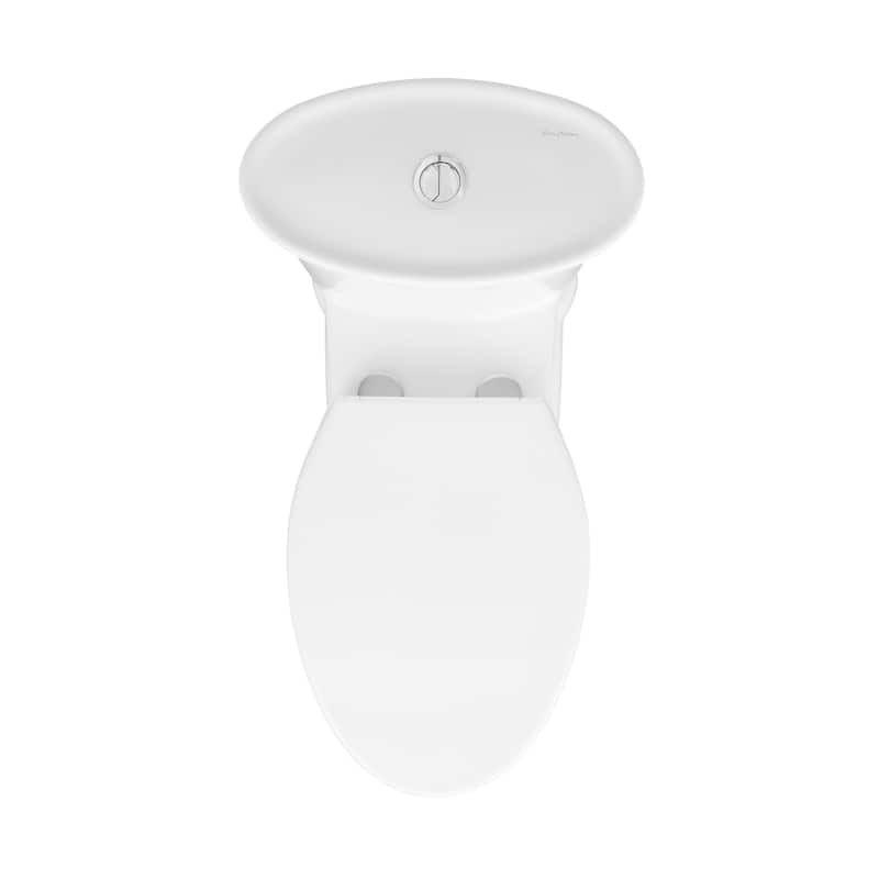 Celeste One-Piece Elongated Toilet Dual-Flush 1.1/1.6 Gpf - 30.7" x 16.25" 30.25"
