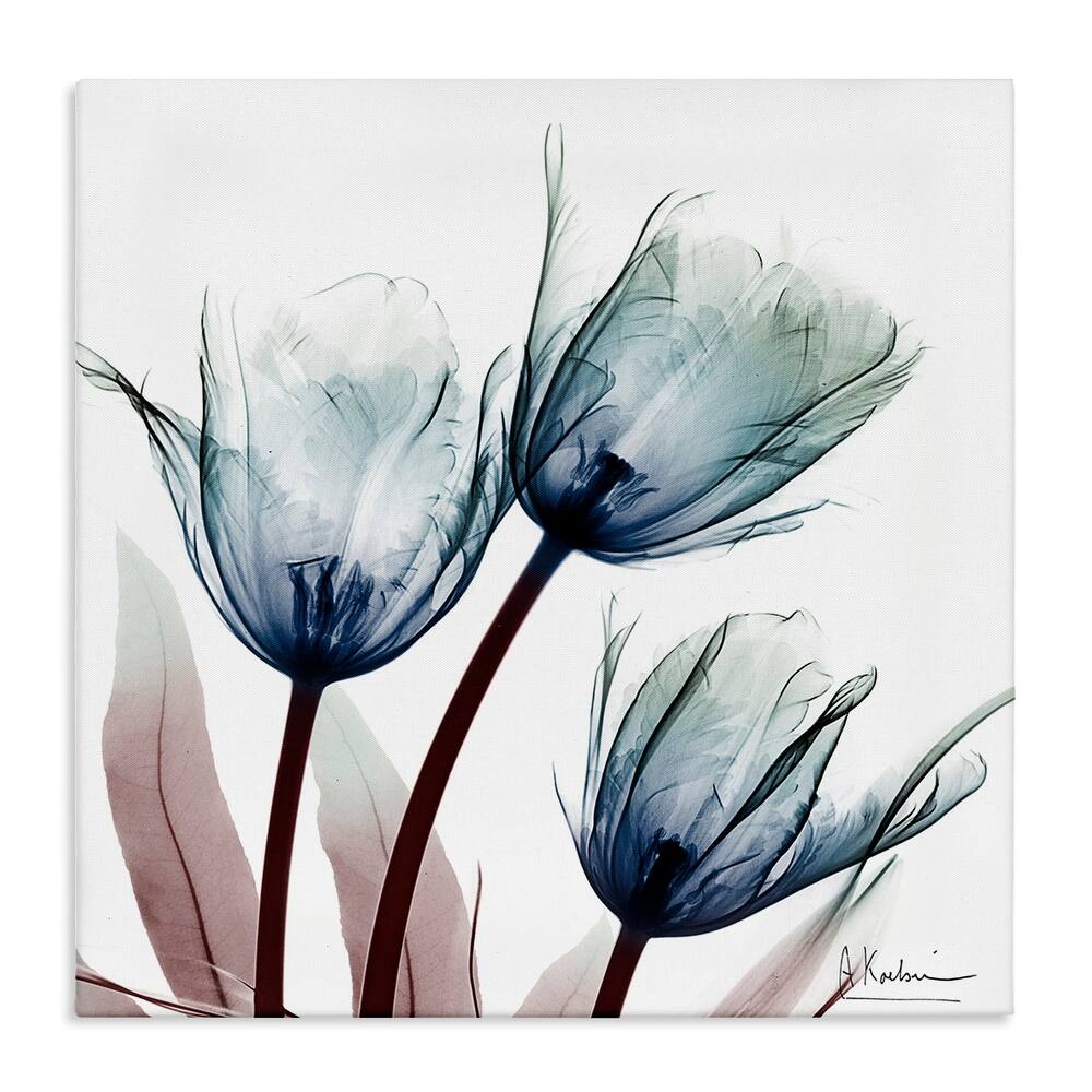 Stupell Translucent Tulip Bulbs Canvas Wall Art Design By Albert Koetsier