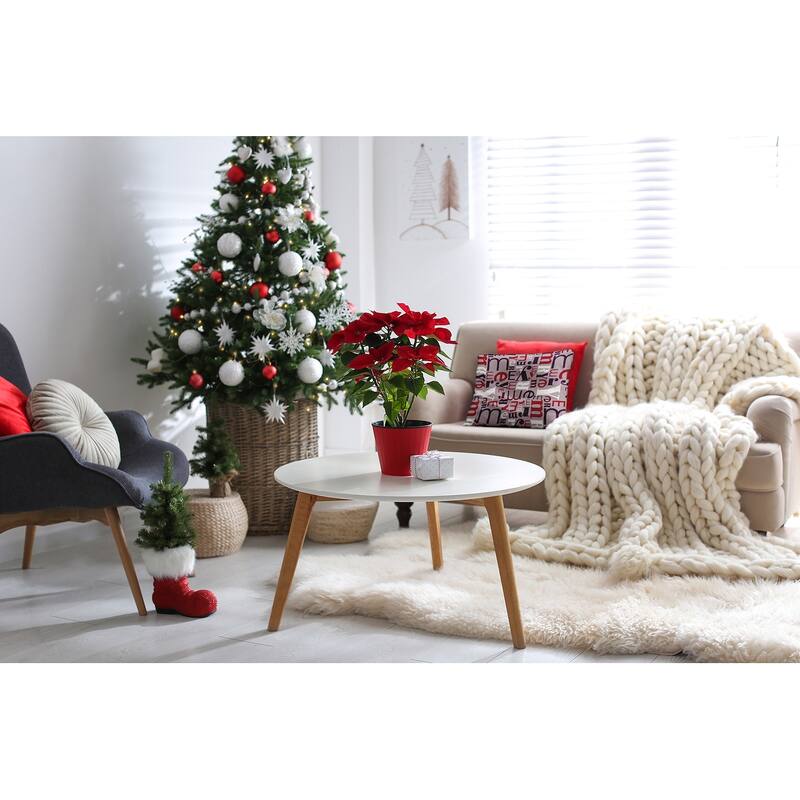 Crazy Merry Christmas Soft Spun Polyester Decorative Throw Pillow