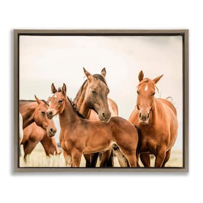 Stupell Horse & Foals Photography Framed Floater Canvas Wall Art Design by Krista Broadway
