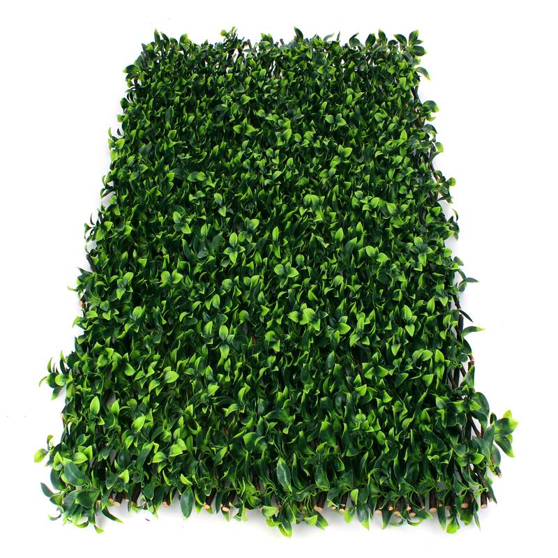 Gardenia Trellis - 20 x 108