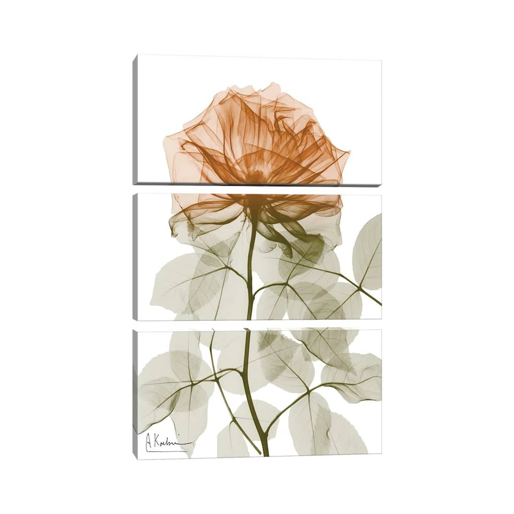 iCanvas "Urban Jungle Rose I" by Albert Koetsier 3-Piece Wall Art Set