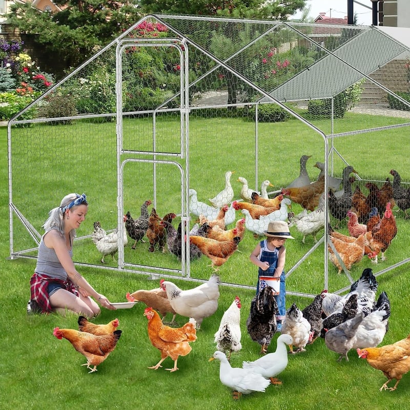 Large Metal Chicken Coop Walk-in Poultry Cage