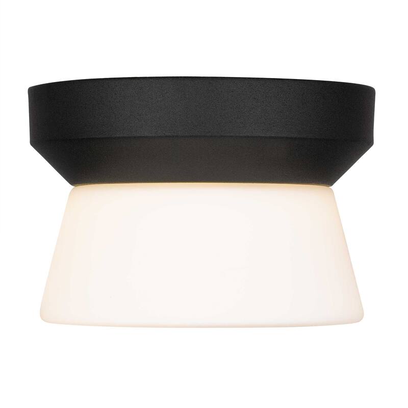 7 Inch LED Flush Mount Light Etched White Glass Shade Dimmable - Black