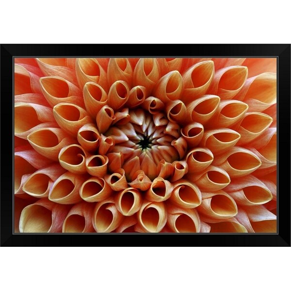 "Petal detail from heart of an orange dahlia." Black Framed Print
