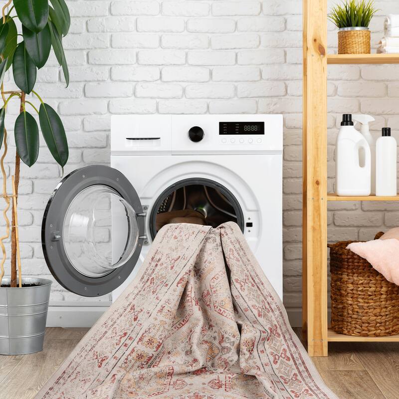 Washable 4x6 Area Rugs for Living Room Stain Resistant Carpet Vintage Rugs for Bedroom with Non Slip Backing Home Decor