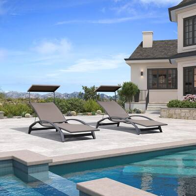 PURPLE LEAF Patio Chaise Lounge Chair Set of 2 Outdoor Lounge Chair with Arm All Weather Adjustable Lounger