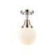 Option Polished Nickel / Matte White