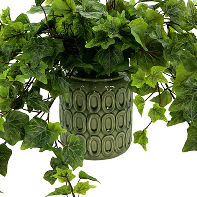 Ivy Arrangement in a Ceramic Pot - Green