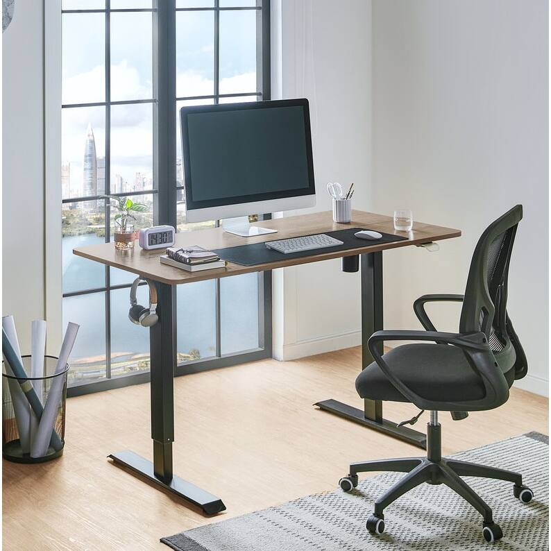 55 x 27 inch home office desk can be raised and lowered