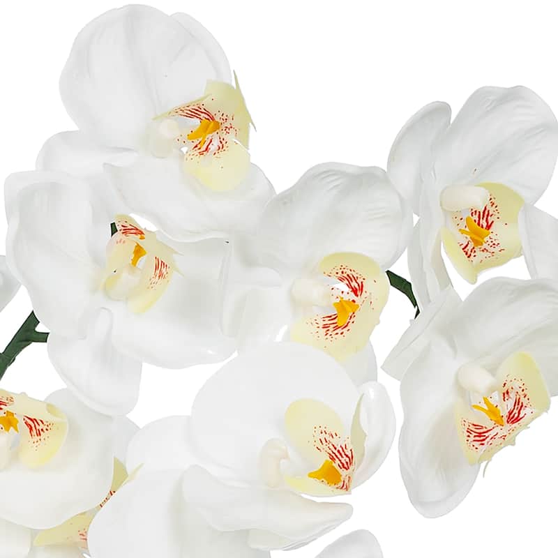 8 Pieces Nearly Natural Plastic Phalaenopsis Silk Orchid in Glass Vase - 20.87" H x 27.56" W x 9.84" D