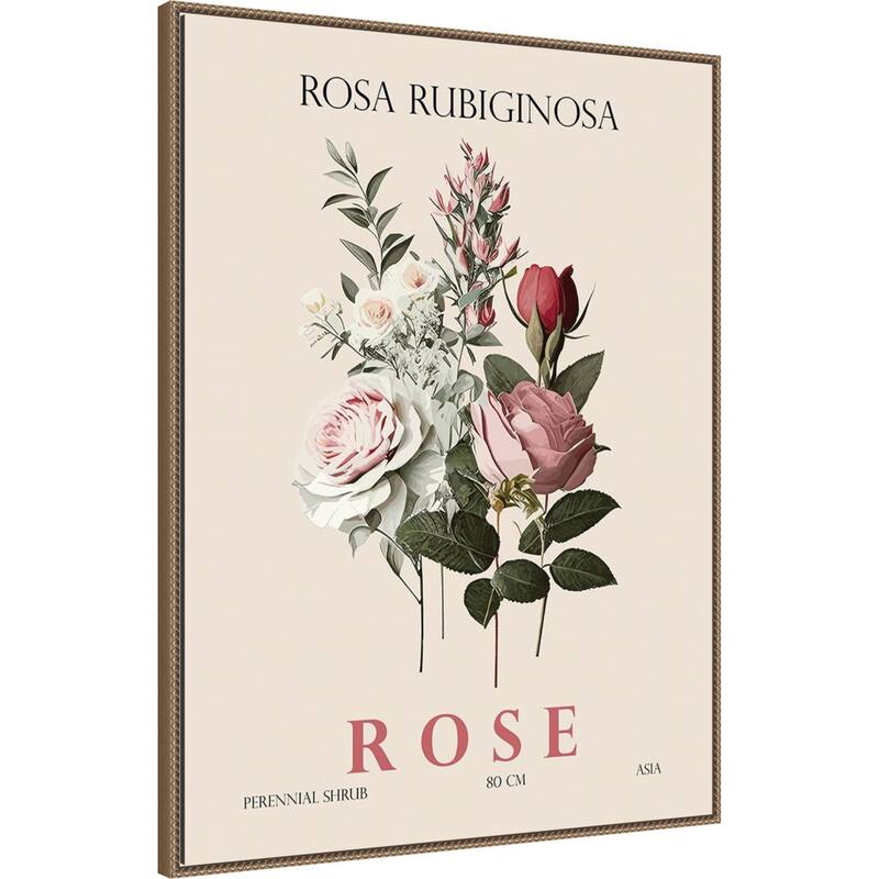 Vintage Botanical Rose Illustration by Christopher Giampietro Framed Canvas Wall Art Print