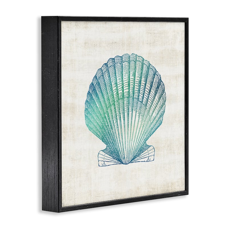 Stupell Gradient Clam Seashell Framed Giclee Art Design By Susan Arnot