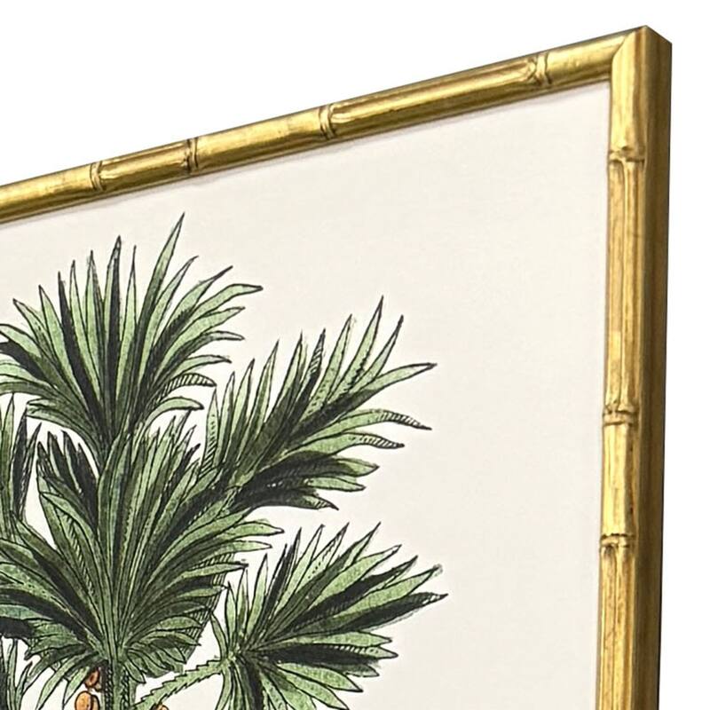 Paragon Contemporary Palm II Framed Art - Set of 4