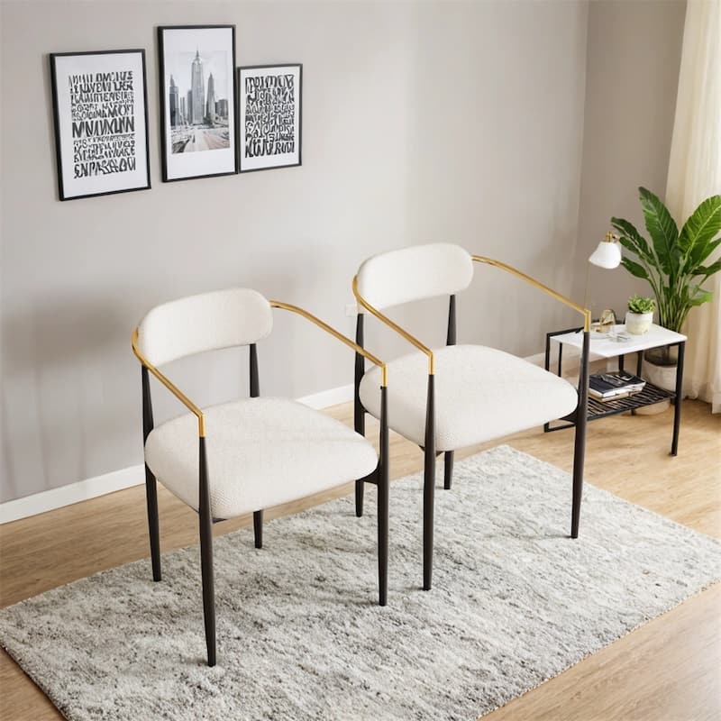 Dining Chairs Set of 2,Modern Dining Chairs,Teddy Velvet Chairs