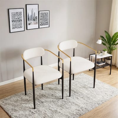 Dining Chairs Set of 2,Modern Dining Chairs,Teddy Velvet Chairs
