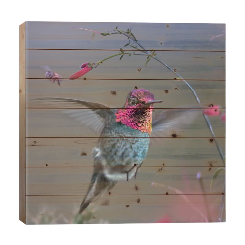Anna's Hummingbird, Arizona Print On Wood by Tim Fitzharris - Multi-Color - 26x26x1.5