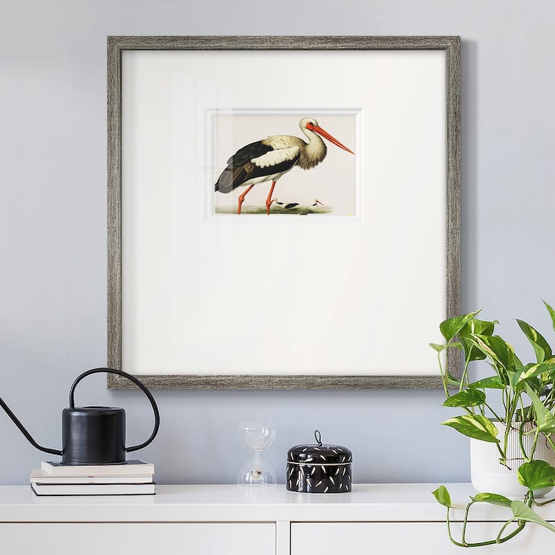 Odd CranePremium Framed Print