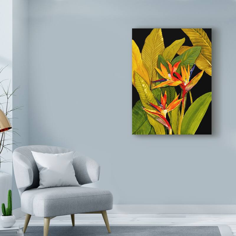 Tim Otoole 'Dramatic Bird Of Paradise' Canvas Art